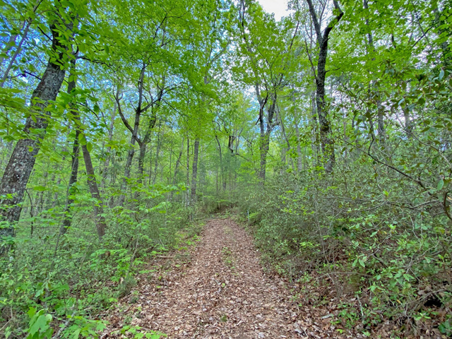 secluded acreage Cleveland