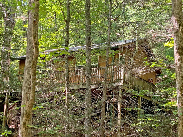 cabins for sale Dahlonega