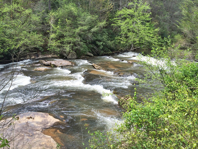 National Forest property North Georgia