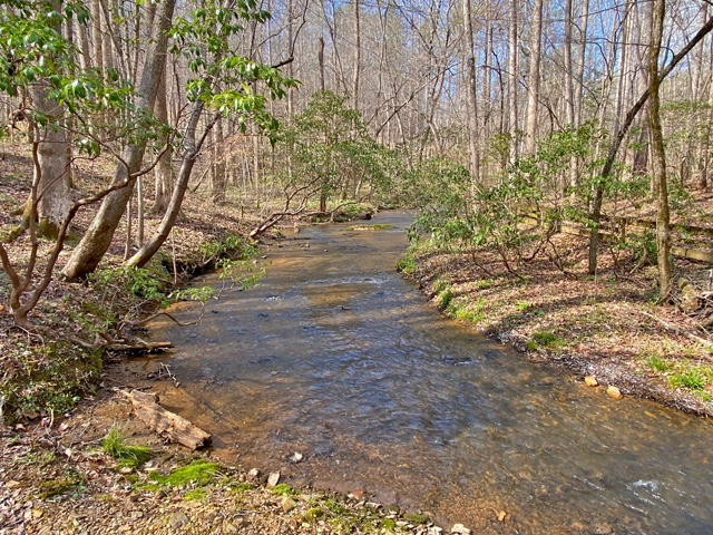 land with creek Dawson County