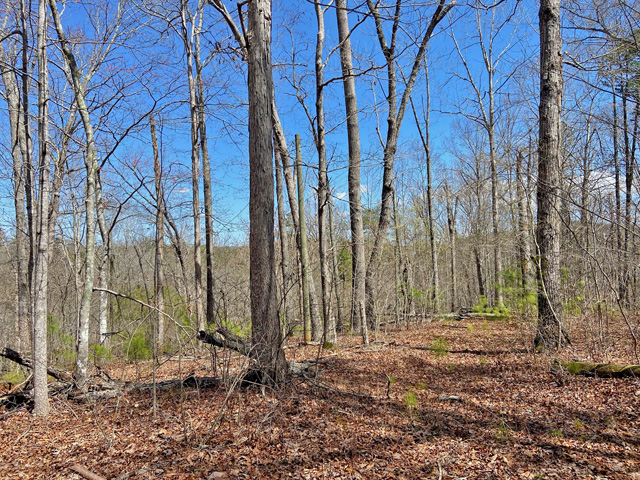 acreage for sale Dawson County GA