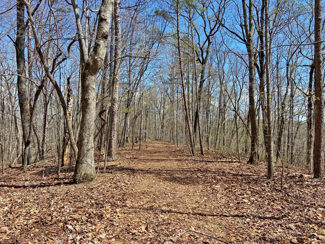 land to build on Dawson County GA