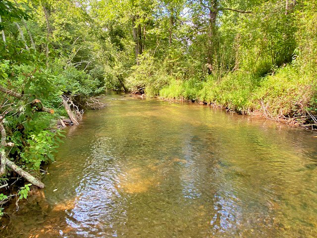 Yahoola Creek property for sale Dahlonega