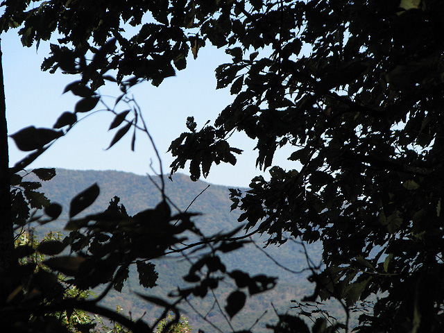 mountain view land Lumpkin County