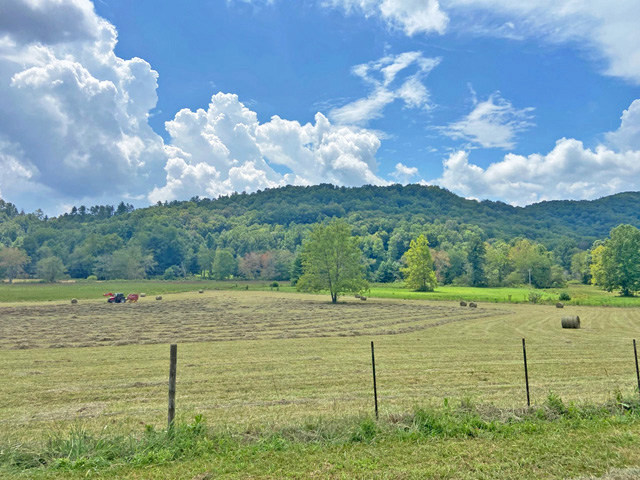 Suches river property for sale