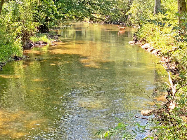 Union Co mountain views for sale