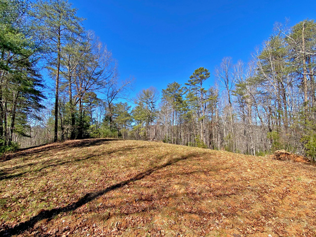 North Georgia land for sale