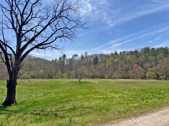 Acreage for sale on a river Dahlonega