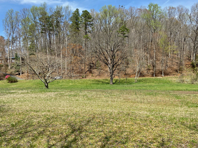 Land for sale on a river Lumpkin County