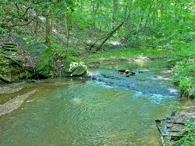 Dawsonville homes for sale with acreage