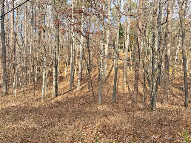 Gainesville GA lots for sale