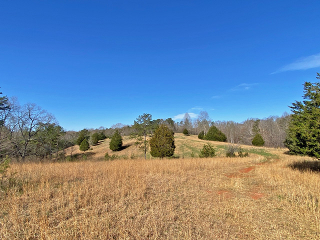 Development property for sale Dahlonega