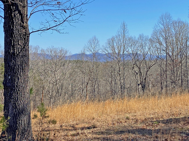Land For Sale Lumpkin County