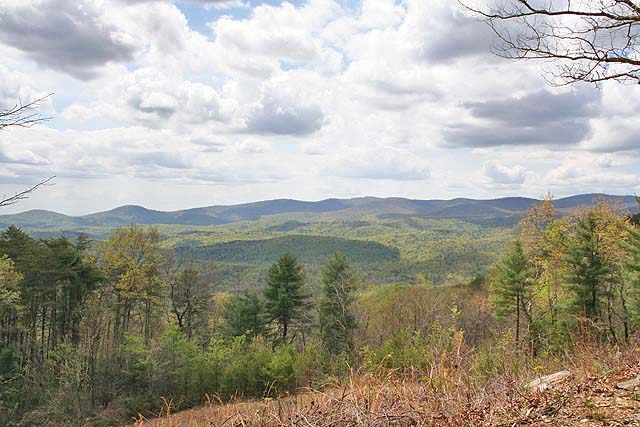 cabin with a view Dawson County