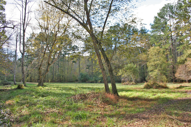 Dawsonville river property for sale