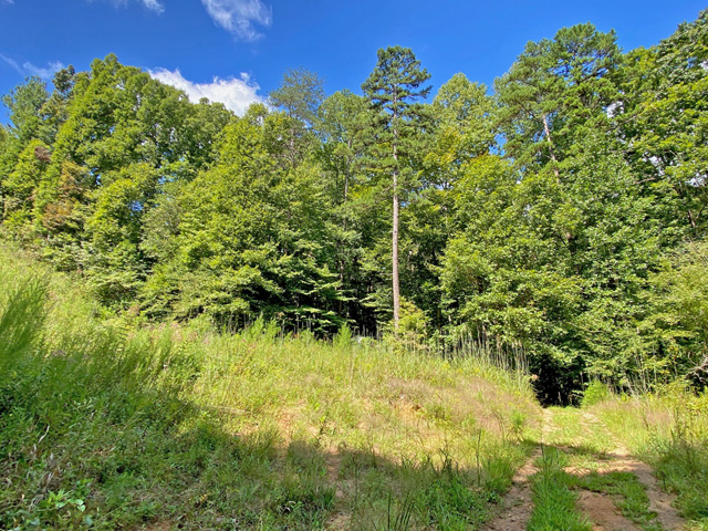 unrestricted land Dahlonega