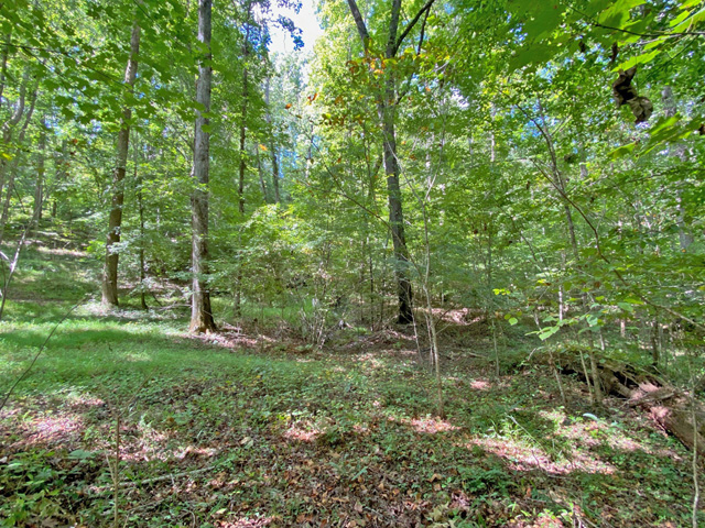 gold mining property for sale Dahlonega