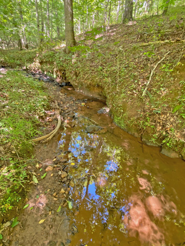 land with a creek for sale Lumpkin County