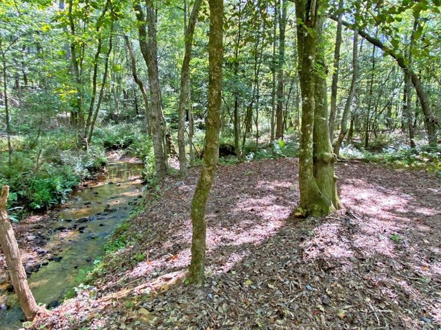 Fannin County land with a creek