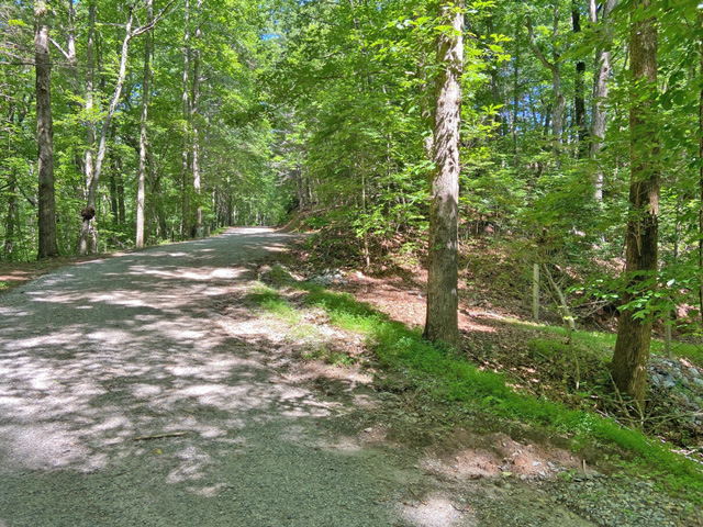 building lots for sale Dahlonega