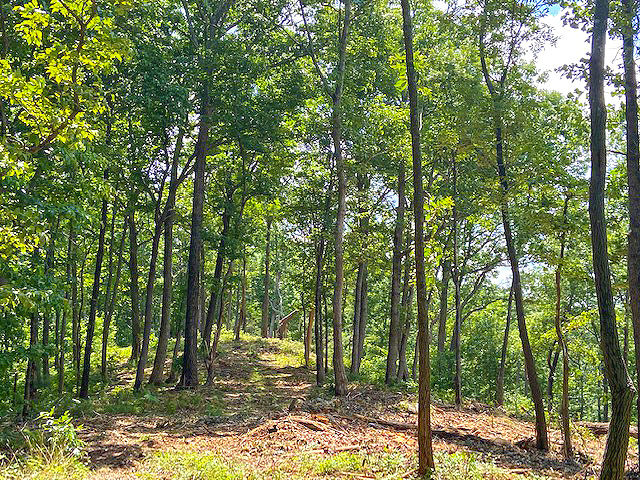 property with great view North Georgia