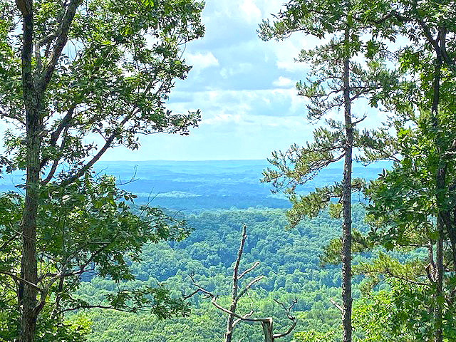 acreage with fantastic view White County