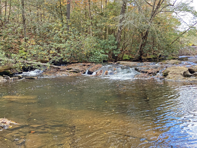 Land with trout stream Dahlonega