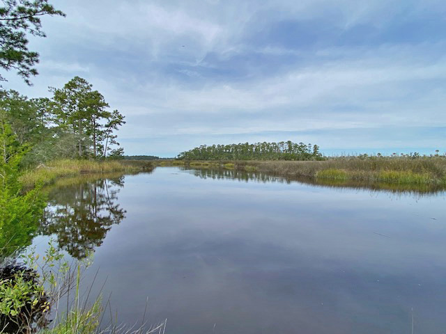 waterfront property for sale Camden County