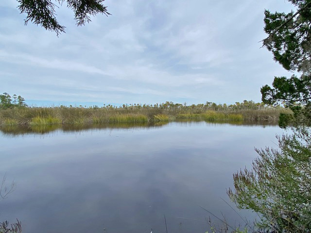 Georgia coastal waterfront property for sale